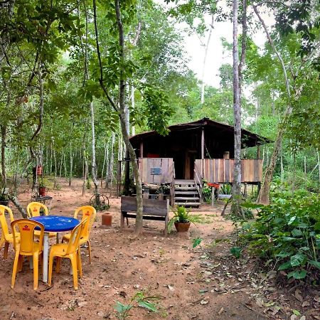 فندق كارولينافي  Hospedagem Aldeia Do Leao المظهر الخارجي الصورة